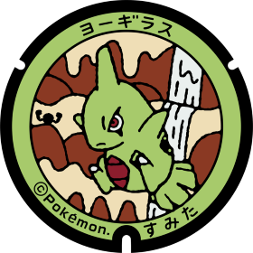 日本Pokemon渠蓋