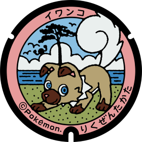 日本Pokemon渠蓋