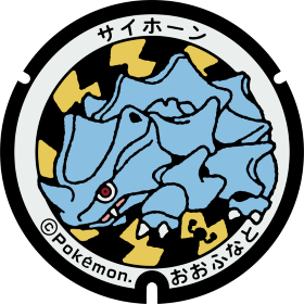 日本Pokemon渠蓋