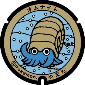 日本Pokemon渠蓋