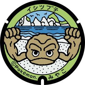 日本Pokemon渠蓋