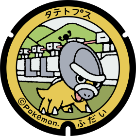 日本Pokemon渠蓋