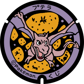 日本Pokemon渠蓋