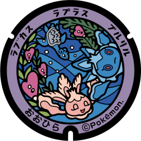 日本Pokemon渠蓋