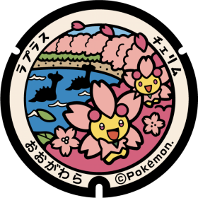日本Pokemon渠蓋