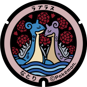 日本Pokemon渠蓋