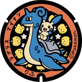 日本Pokemon渠蓋