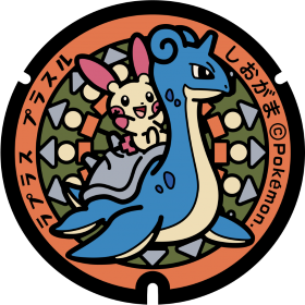日本Pokemon渠蓋