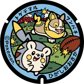 日本Pokemon渠蓋