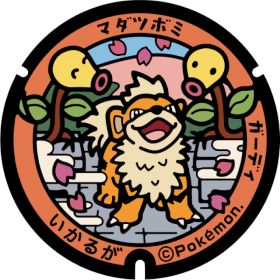 日本Pokemon渠蓋