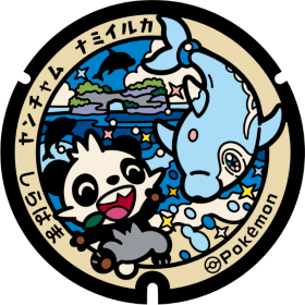 日本Pokemon渠蓋