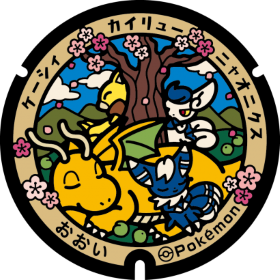 日本Pokemon渠蓋