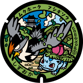 日本Pokemon渠蓋