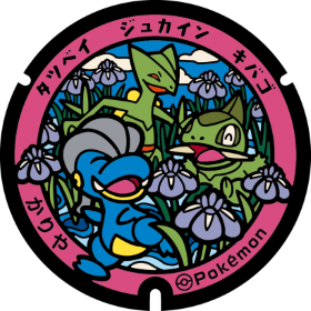 日本Pokemon渠蓋
