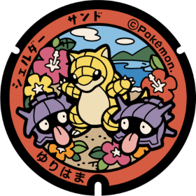 日本Pokemon渠蓋