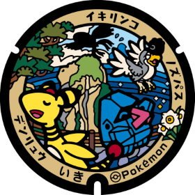 日本Pokemon渠蓋