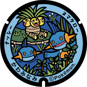 日本Pokemon渠蓋