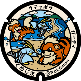 日本Pokemon渠蓋