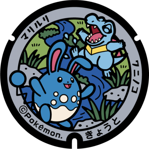 日本Pokemon渠蓋